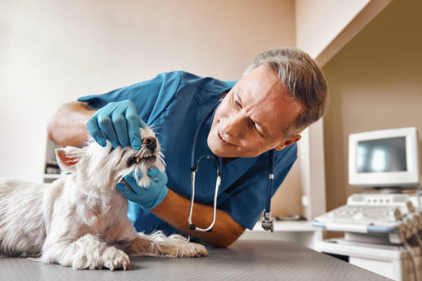  Dalhart, TX Emergency Dentist Pros